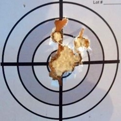 Firearm Target