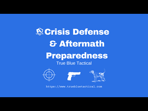 CrisisDefenseAftermath